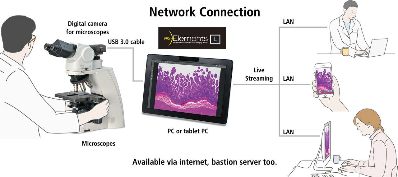 NISElements L Cameras Microscope Products Nikon Instruments Inc.